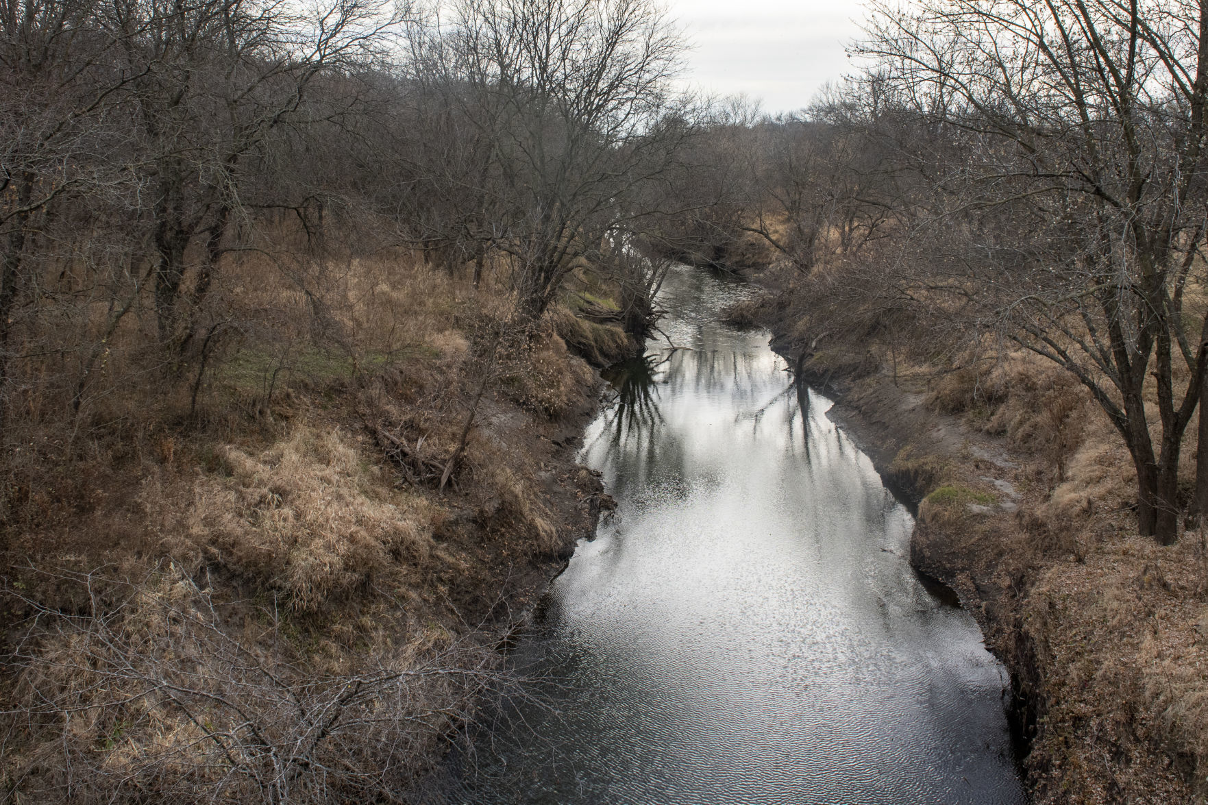 Wilderness Park Trails